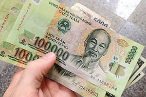 Вьетнамская валюта - Донги